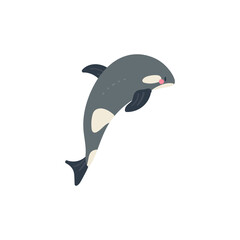 orca vector simple flat illustration