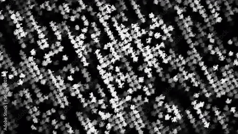 Poster black and white flashing dots. motion. monochrome dots blink in disco style on black background. blu