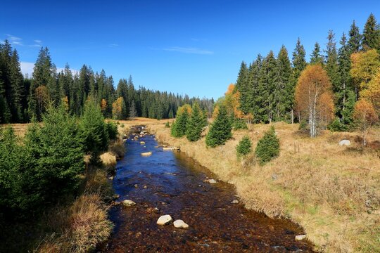Stream Roklansky, Modrava, Sumava, Czech Republic, view on the autumn forest, Sumava National Park, Luzen valley 