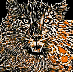 abstract close up of a young leopard