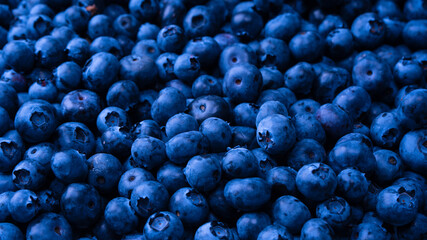 Fresh blueberry background. Texture blueberry berries close up.