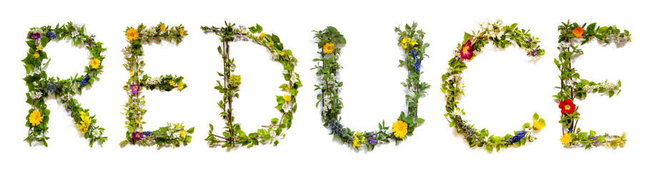 Blooming Flower Letters Building English Word Reduce