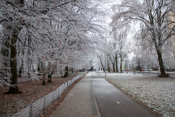 Path through the park in winter - 560255860