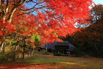 岩手県北上市　紅葉のみちのく民俗村