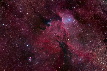 Fighting Dragons of Ara