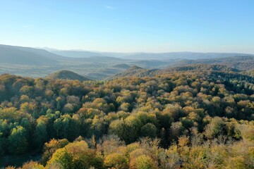 Fototapeta premium Autumn beech forests from a height, autumn in the mountains, autumn landscape in the mountains of Ukraine,