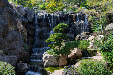 Asian park with waterfall and bonsai tree