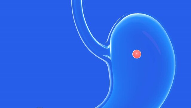 3d transparent glass animation of a food going through the digestive system. Cropped front view cutout on blue background.