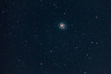 Obraz na płótnie Canvas Pinwheel Galaxy (M 101) in the dark sky