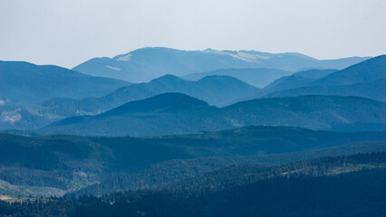 Carpathian Mountains in mist in Ukraine. Forests and valleys among hills and rocks