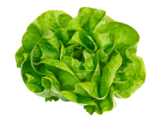 Dekokissen Salade laitue verte   © hcast