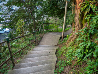   Architecture in the park. Staircase among the trees. Stairs in the natural park lead to a hill. Infrastructure. Sights of Georgia. Temple of Tamara.