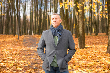 Portrait of aged attractive man walking along path in golden forest. Fallen dry yellow maple leaves everywhere.