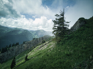 Nagelfluhkette in den allgäuer Alpen im Sommer mit Wolken