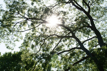 beautiful trip to venice in summer
