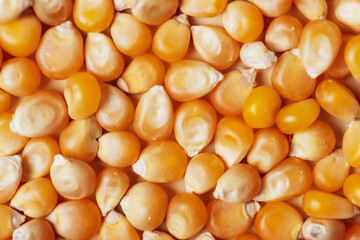 Raw corn kernels texture, background. Healthy vegan food, closeup