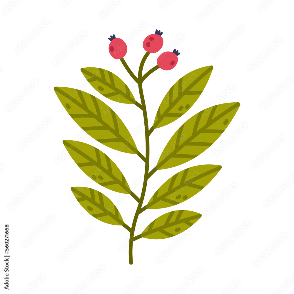 Sticker floral twig with berry and leaves as cute foliage vector illustration