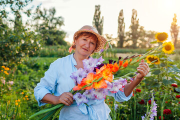 Portrait of gardener holding fresh gladiolus flowers harvested in summer garden. Senior woman picked blooms