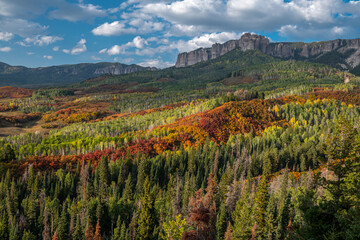 Colorful Colorado near Ridgway Heading of Owl Creek Pass
