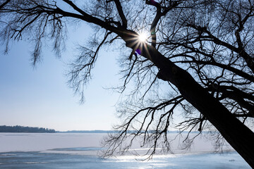 The silhouette of a tree leaning over a frozen lake with the sun forming a starburst.
