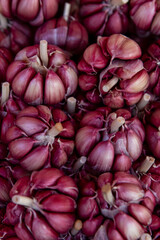 Purple garlic displayed in the supermarket in the city of Sao Paulo, Brazil