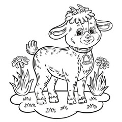 Cute little goat or sheep lamb farm animal kid coloring book page. Children education game. Funny horned domestic mammal cartoon character on grass meadow. Outline preschool colouring drawing. Vector 