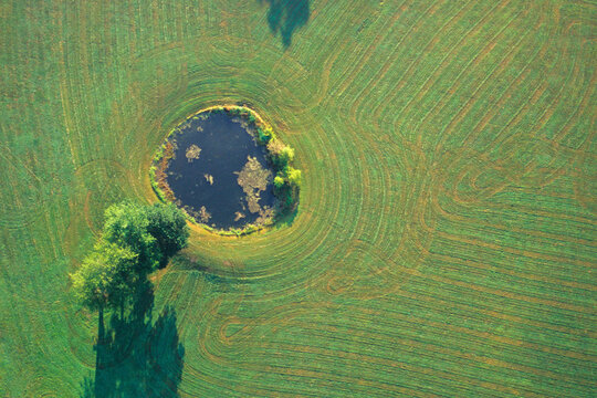 An aerial view of patterns created by a lone tree.
