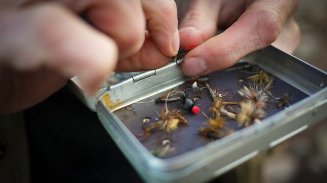 A young man in his early thirties  fly fishing near Durango, Colorado.