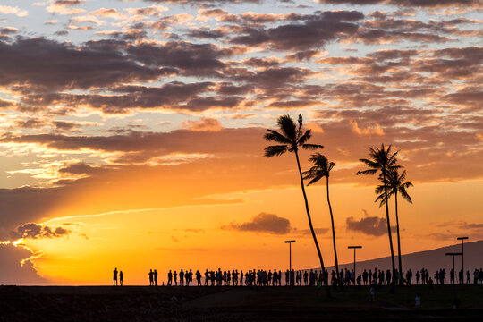 Silhouette Of Onlooker Standing In Row In Honolulu, Hawaii