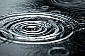 Raindrops fall into a puddle during an afternoon rainstorm in Truckee, California.