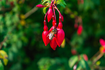 Photos from different regions in Ireland during a short work-related trip. 