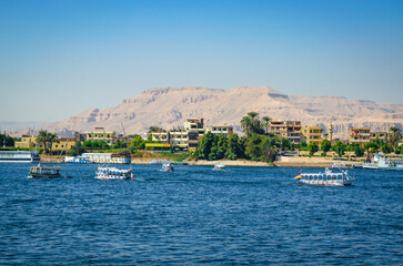 Beautiful green valley of Nile river near city Luxor, Egypt, Africa - obrazy, fototapety, plakaty