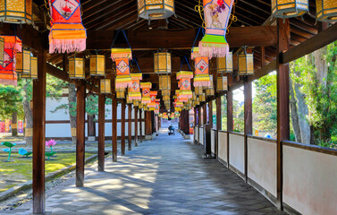 京都、黄檗宗萬福寺の境内