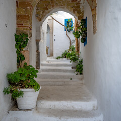 Tunis, Tunisia - Sidi Bou Said village - a popular tourist place