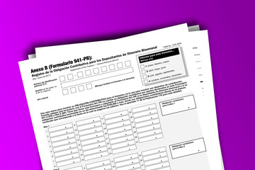 Form 941 (PR) (Schedule B) documentation published IRS USA 42738. American tax document on colored