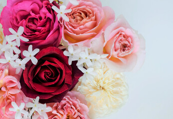 室内の薔薇とジャスミンの花、バラの花のインテリア、フレーム、バナー素材、白背景