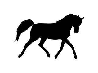 Fototapeta na wymiar Running horse black silhouette isolated on white background. Horse silhouette illustration. vector eps10