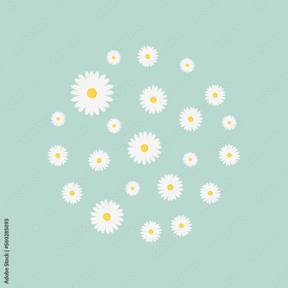 Poster chamomile pattern in circle shape on blue background. background with chamomile. flat vector illustr
