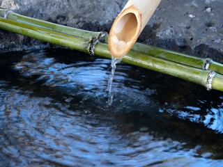 手水舎の水
