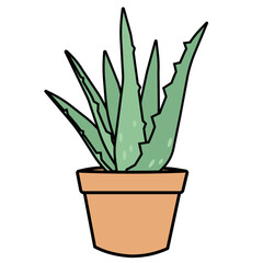 Aloe Plant Self Care and Self Love 