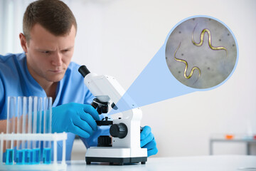 Laboratory worker using modern microscope to examine helminths indoors. Zoomed view on parasitic...