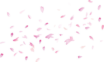 水彩画。水彩タッチの手描き桜イラスト。手描きの花吹雪イラスト。春の水彩桜の花びら背景。Watercolor painting. Hand-painted cherry blossom illustration with watercolor touch. Hand painted blossoms snowflakes illustration. Spring watercolor cherry 