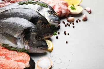 Fresh raw dorado fish, salmon and spices on light grey table, closeup. Space for text