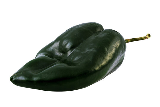 chile poblano crudo verde para chile relleno png