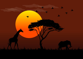 Fototapeta na wymiar Illustration of African wildlife vectors at sunset
