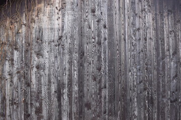 Old wood texture grey 