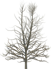 Tree branch cutout