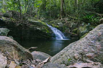 waterfall in the forest