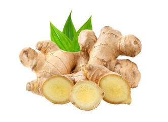 ginger on transparent png