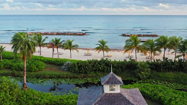 Early morning shot of empty tropical beach in Montego Bay, Jamaica. Flying low towards calm ocean. View of palm trees and desert beach